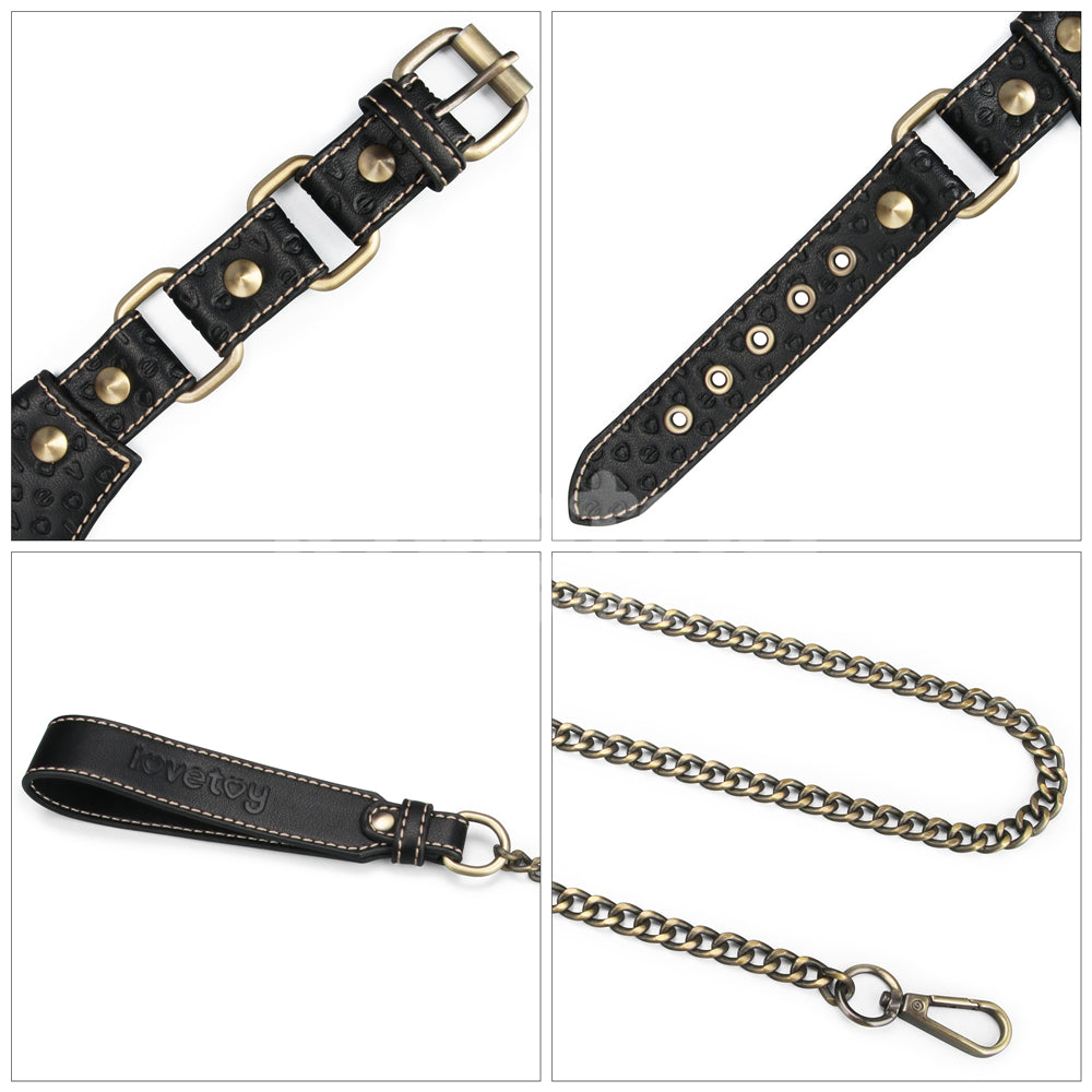 Lovetoy Rebellion Reign Collar Boyun Tasması LV761205