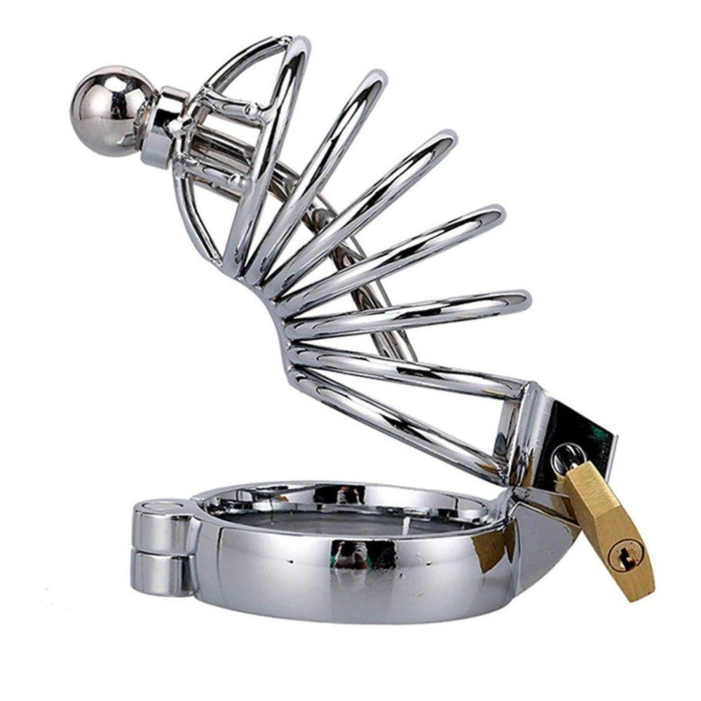 Master Male Chastity Urethral Play Chastity Penis Kafesi 40 mm